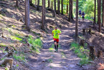 Zawodnicy na trasie biegu