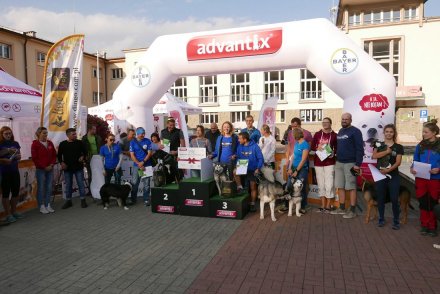 Dekoracja zwycięzców