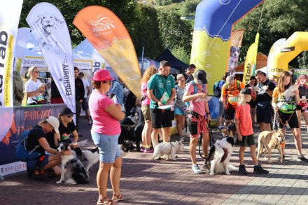 Mistrzostwa Polski w Dogtrekkingu Wisła 2025