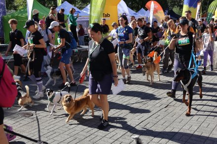 Mistrzostwa Polski w Dogtrekkingu Wisła 2025