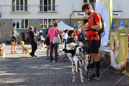 Mistrzostwa Polski w Dogtrekkingu Wisła 2025
