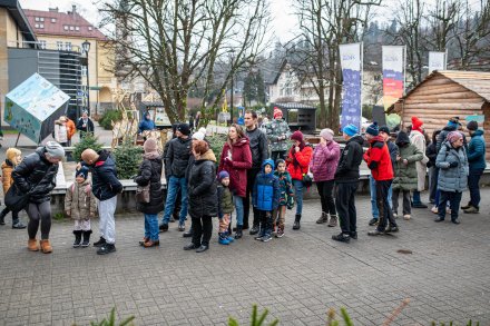 rozdawanie choinek przez Nadleśnictwo Wisła
