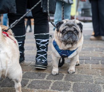Wisła zagrała razem podczas 34. Finału WOŚP