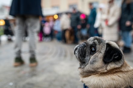 Wisła zagrała razem podczas 34. Finału WOŚP