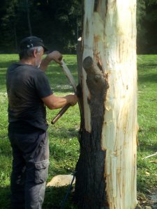 Plener rzeźbiarski - Jiří Cieslar