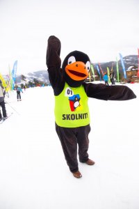 Pingwin - maskotka Skolnitego