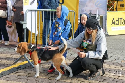 XVII Mistrzostwa Polski w Dogtrekkingu