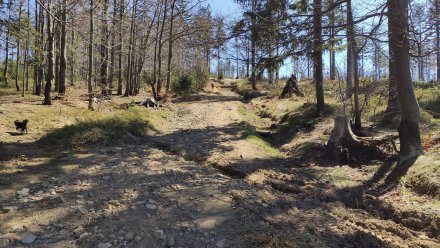 Droga z Salmopolu do Malinowskiej Jaskini