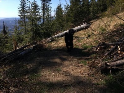 Droga z Salmopolu do Malinowskiej Jaskini