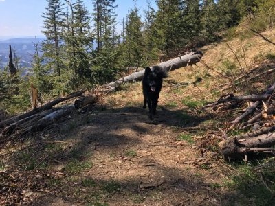 Droga z Salmopolu do Malinowskiej Jaskini