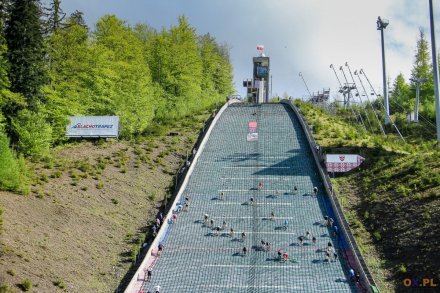 Zawodnicy w trakcie biegu na skocznię/fot. Bartłomiej Kukucz - ox.pl