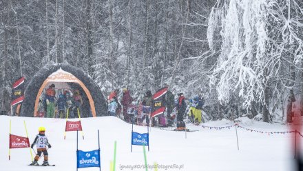 Beskidzka Liga Niedźwiadka