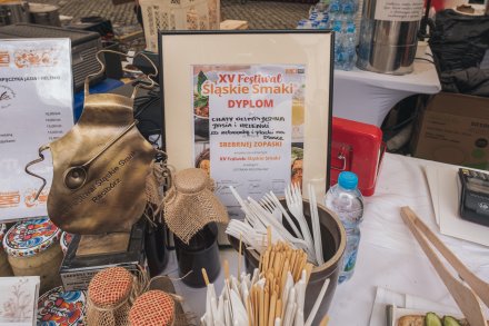 Nagroda oraz pamiątkowy dyplom za udział w festiwalu