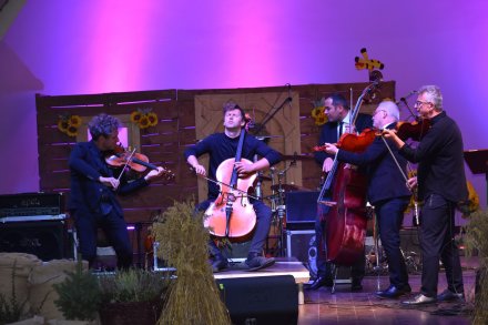 Koncert zespołu Vołosi