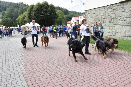 Korowód dożynkowy przeszedł przez Wisłę