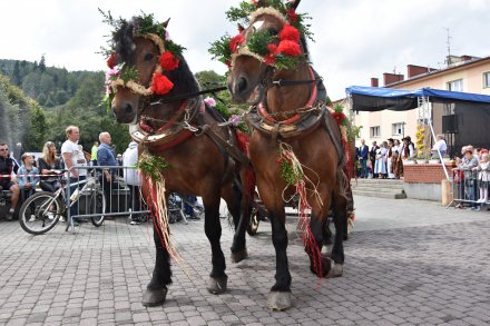 Korowód dożynkowy przeszedł przez Wisłę
