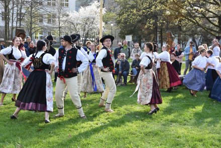 Tradycyjne "stowiani moja" w wykonaniu Zespołu regionalnego "Wisła" z Wisły