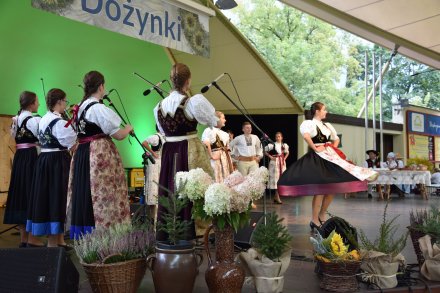 Zespół "Wisła" w amfiteatrze podczas dożynek