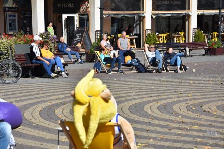 Sielska atmosfera podczas pikniku.