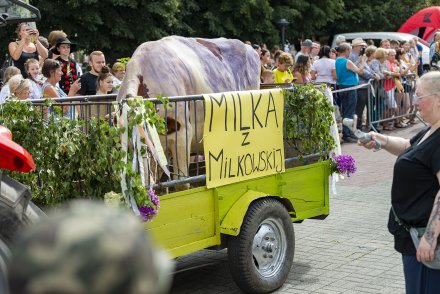 Korowód dożynkowy