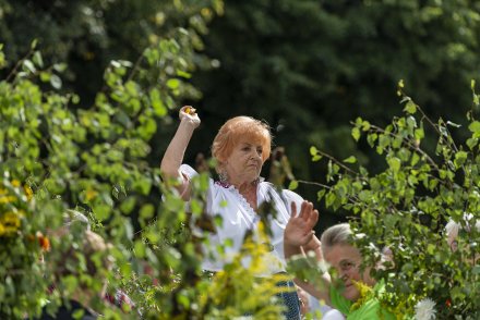 Korowód dożynkowy