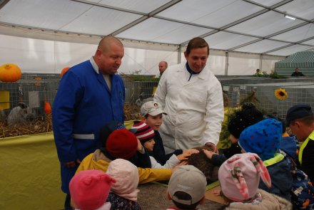 IV Beskidzka Wystawa Królików Rasowych