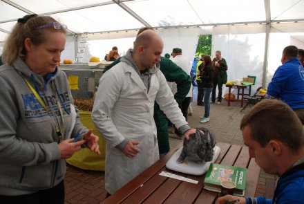 IV Beskidzka Wystawa Królików Rasowych