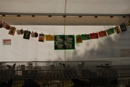 IV Beskidzka Wystawa Królików Rasowych