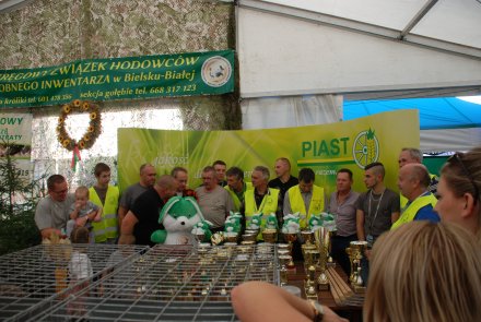 IV Beskidzka Wystawa Królików Rasowych