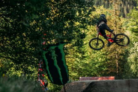 Pokazy tricków i skoków