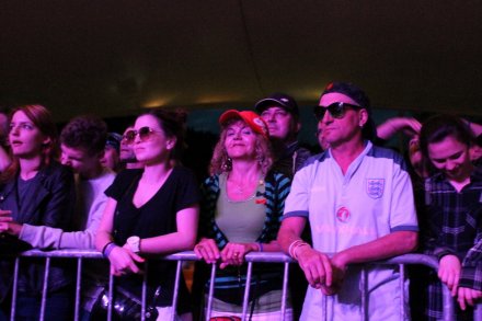 Publiczność bawi się na koncercie zespołu Dżem