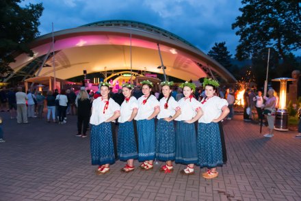 Fragment nocy świętojańskiej