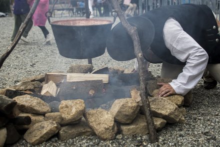 Festiwal Sera 2022
