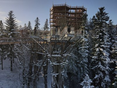 Wieża widokowa na Skolnitym
