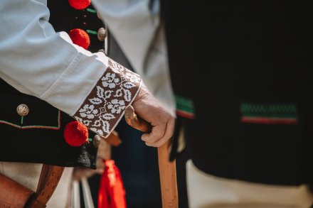 Wiślański wygón łowiec. Fot. Daniel Franek - Okiem Fotoreportera.