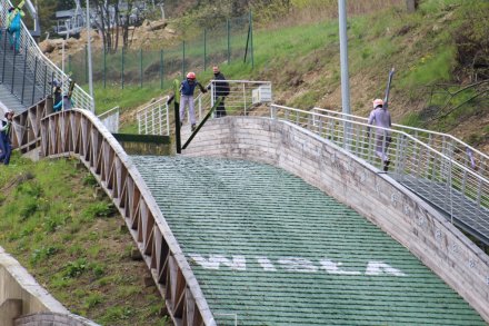Młody skoczek w locie