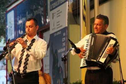 Ardeleana z Campia Turzii - Rumunia