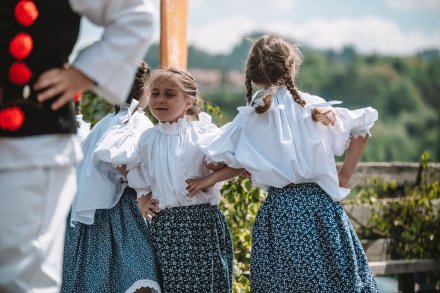 Wiślański wygón łowiec. Fot. Daniel Franek - Okiem Fotoreportera.