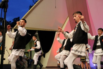 Ardeleana z Campia Turzii - Rumunia