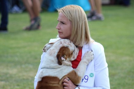 I Międzynarodowa Wystawa Psów Rasowych