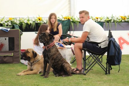 I Międzynarodowa Wystawa Psów Rasowych