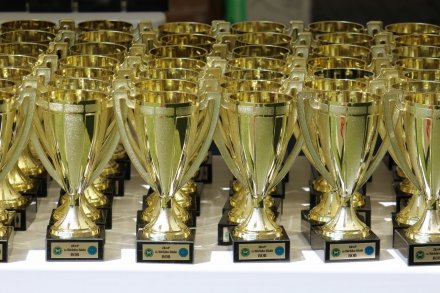 I Międzynarodowa Wystawa Psów Rasowych