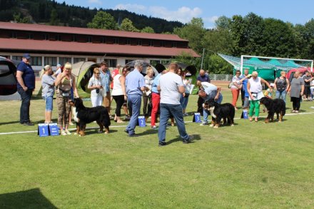 I Międzynarodowa Wystawa Psów Rasowych