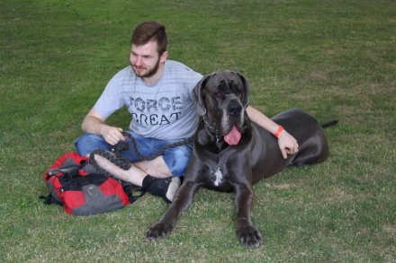 I Międzynarodowa Wystawa Psów Rasowych