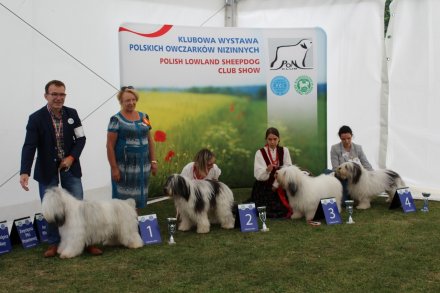 I Międzynarodowa Wystawa Psów Rasowych