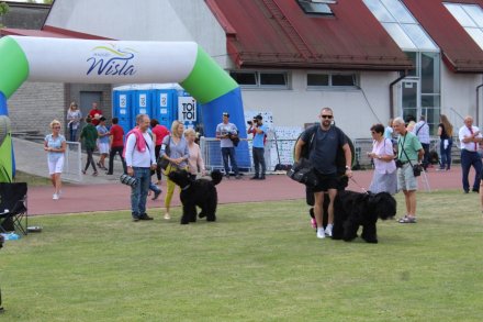 I Międzynarodowa Wystawa Psów Rasowych