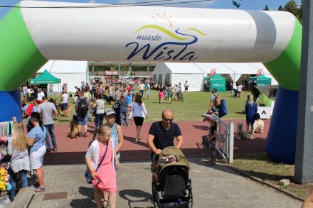 I Międzynarodowa Wystawa Psów Rasowych