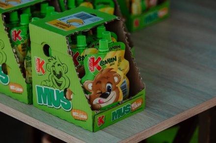 Bieg Śladami Wiślańskiego Niedźwiadka