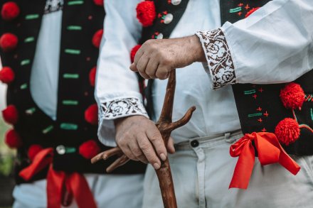 Wiślański wygón łowiec. Fot. Daniel Franek - Okiem Fotoreportera.