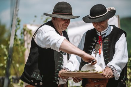 Wiślański wygón łowiec. Fot. Daniel Franek - Okiem Fotoreportera.